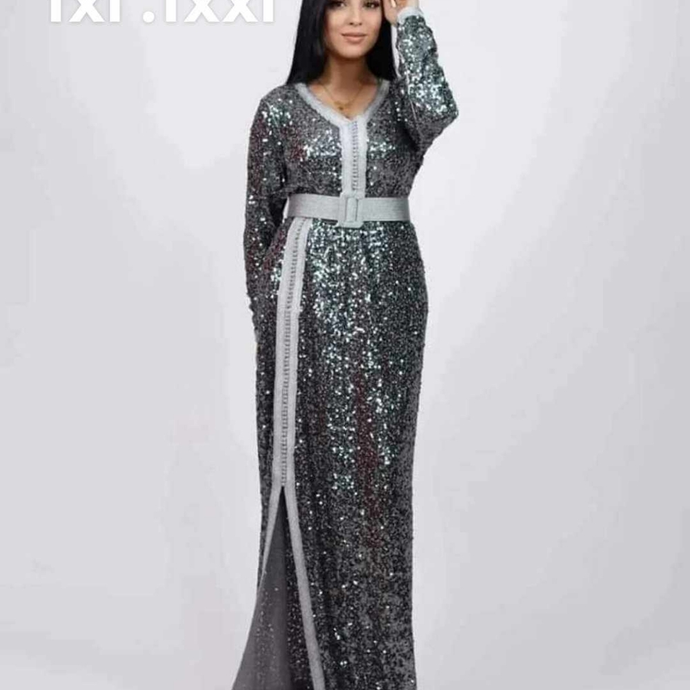 Long sequence full sleeved dresses
